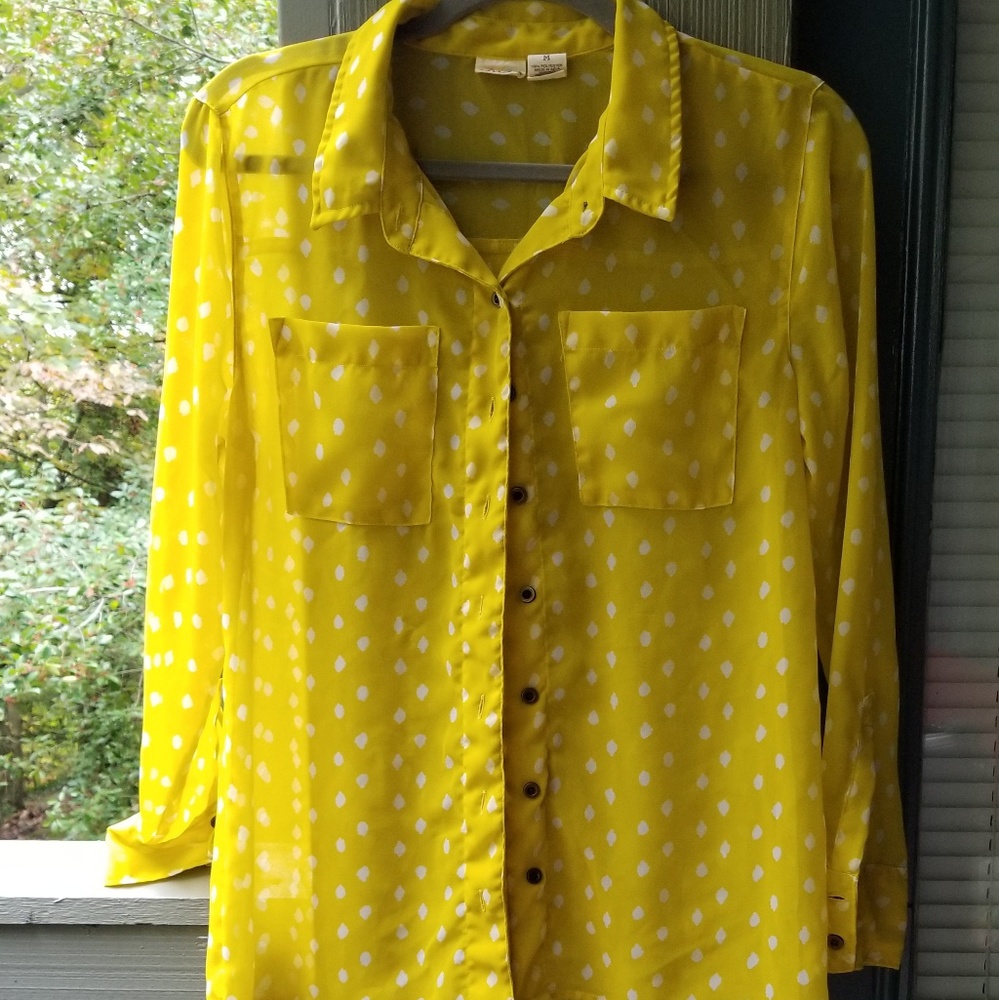 Yellow and white Mudd button down sheer shirt